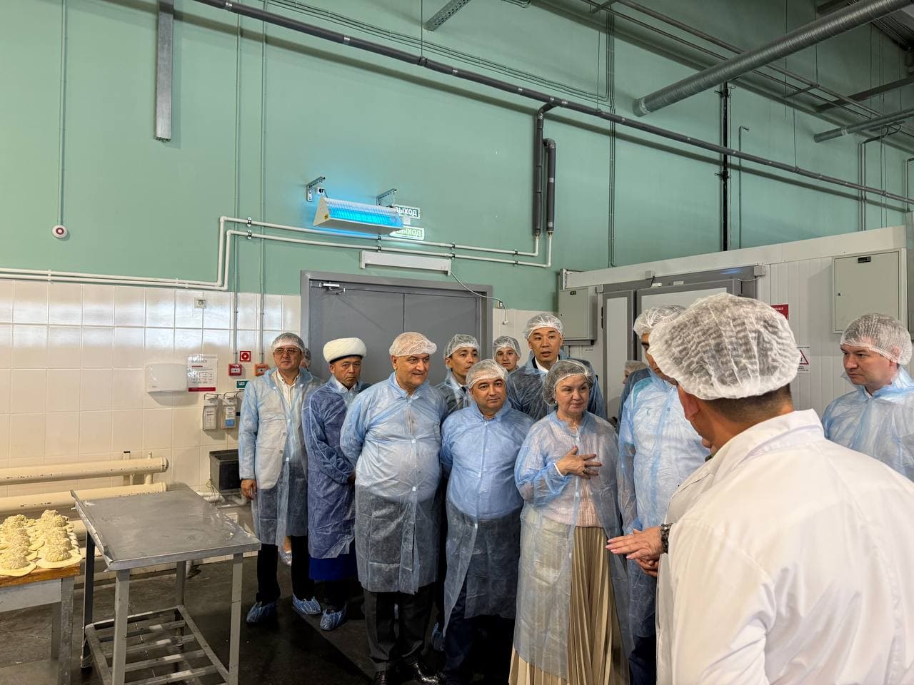 Visit of the delegation of Uzbekistan to the leading enterprises in the Republic of Tatarstan