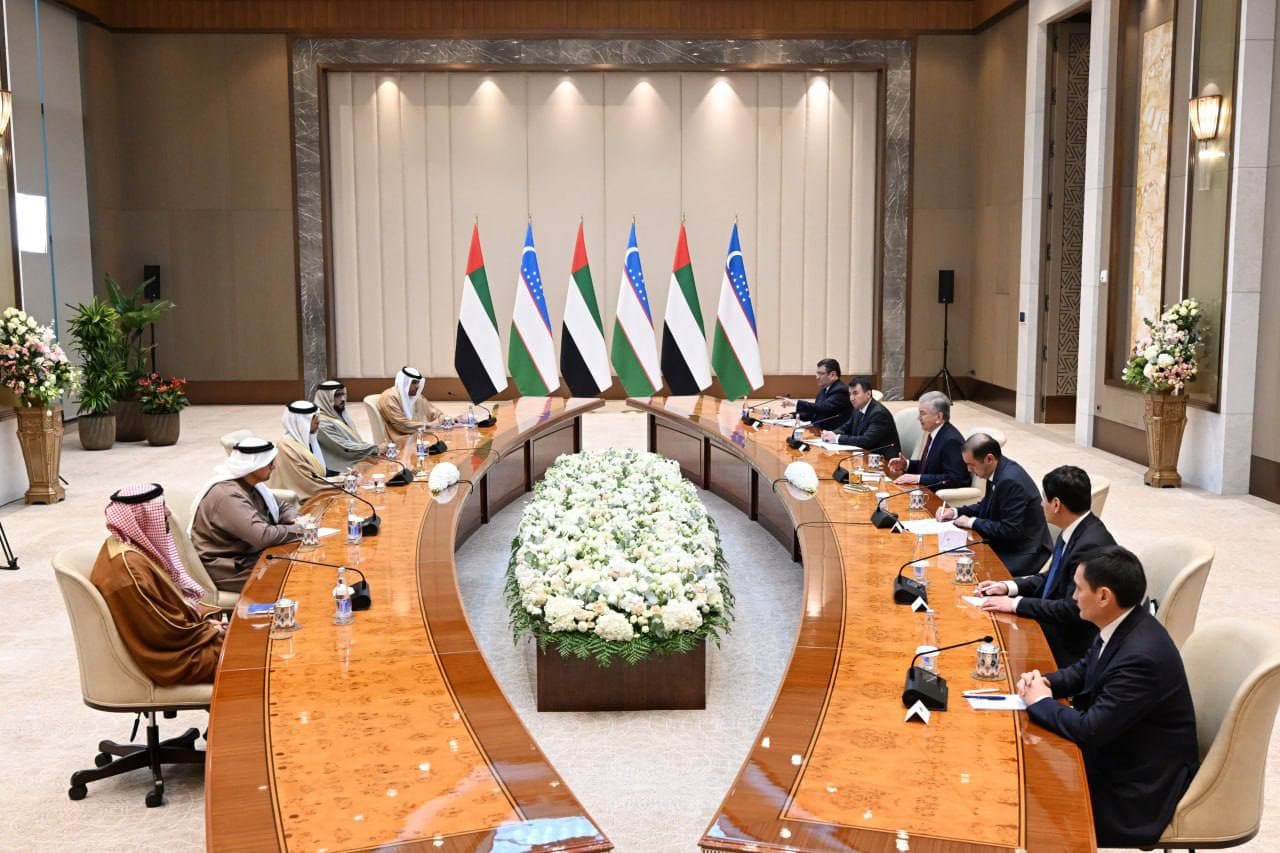 President of Uzbekistan discusses implementation of major investment projects with the UAE