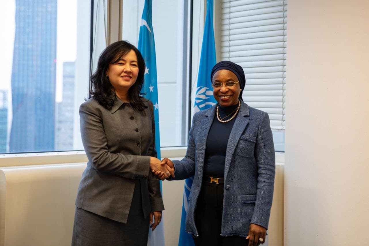 Advisor to the Minister of Foreign Affairs of Uzbekistan held a meeting with the Deputy Director General of UNIDO