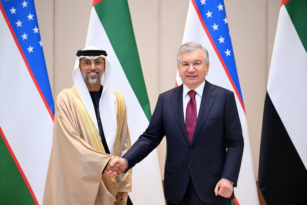 President of Uzbekistan discusses implementation of major investment projects with the UAE