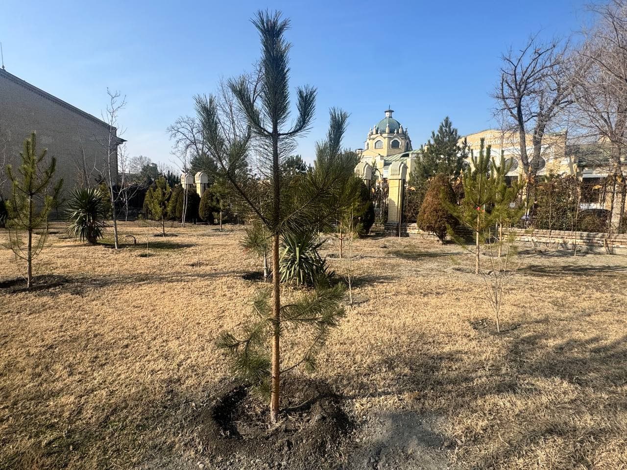 We started greening from ourselves!