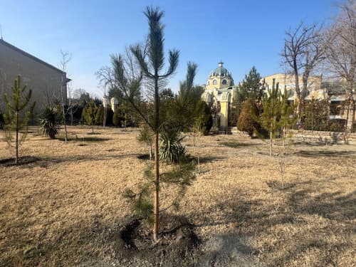 Мы начали озеленение с самих себя!