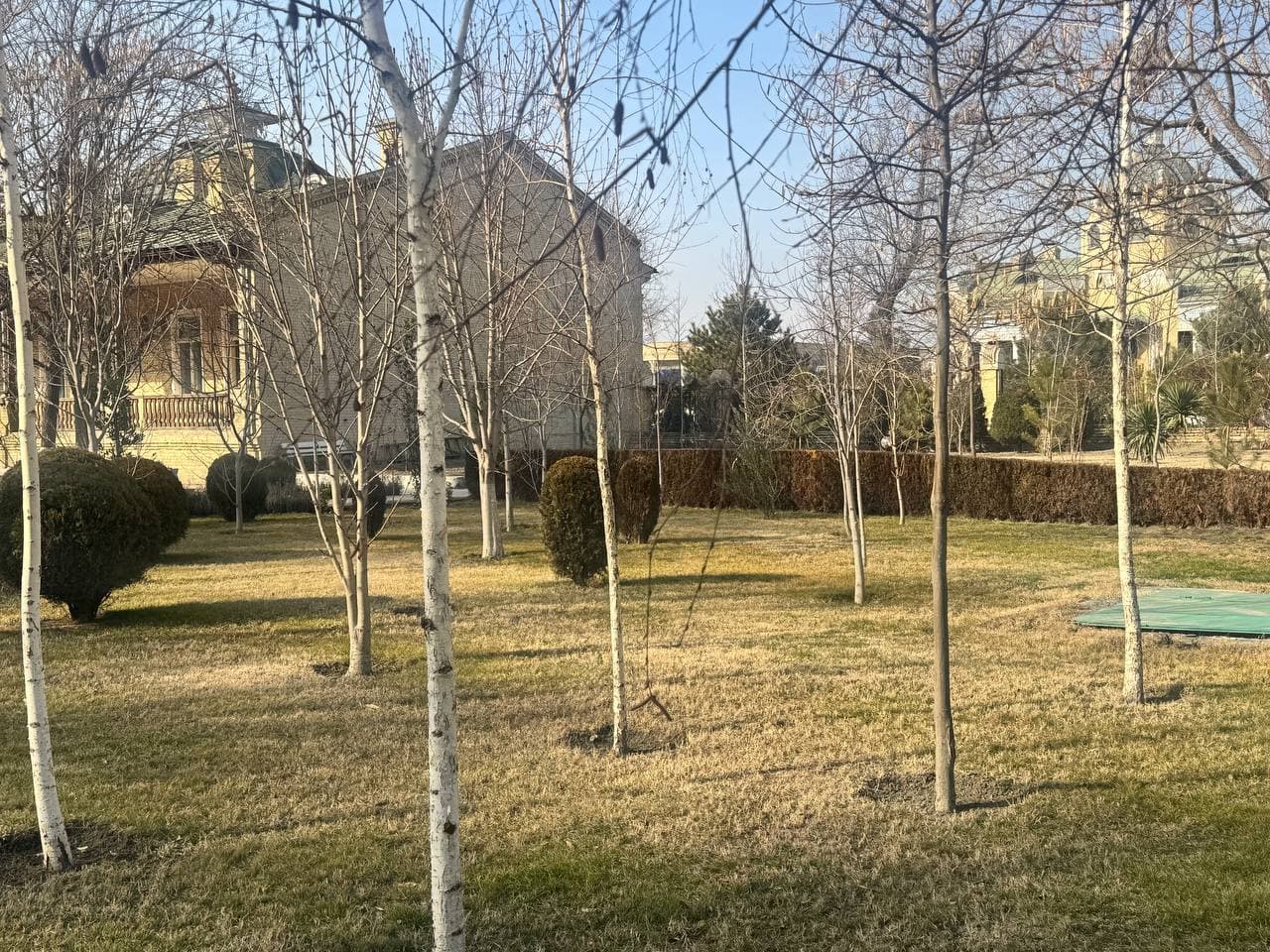 We started greening from ourselves!