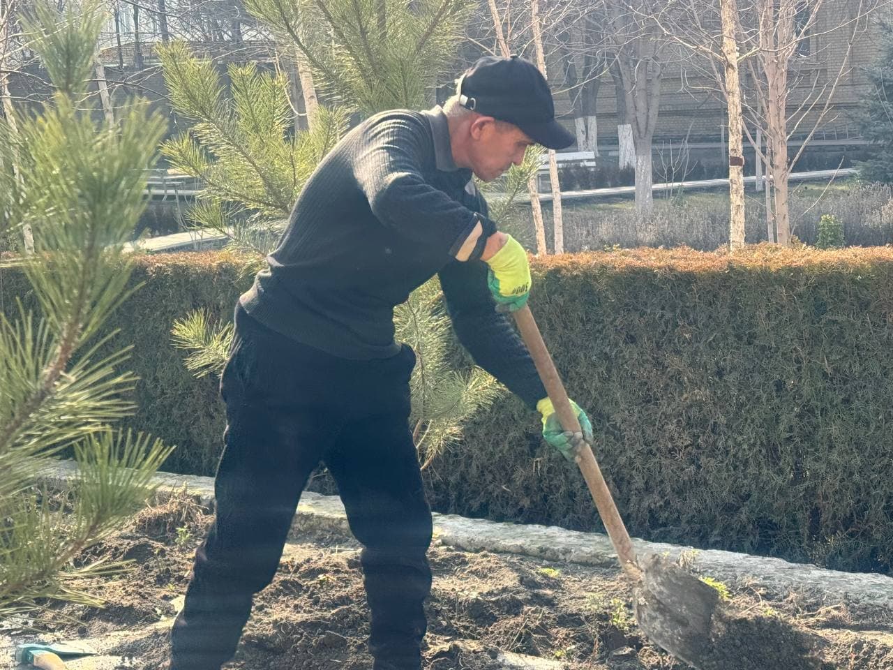 We started greening from ourselves!