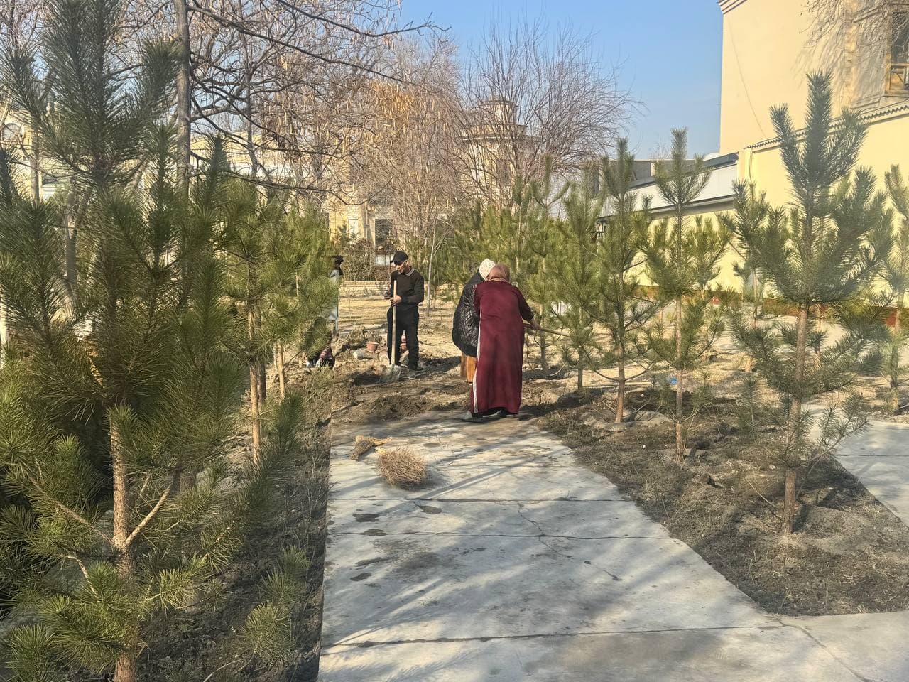 We started greening from ourselves!