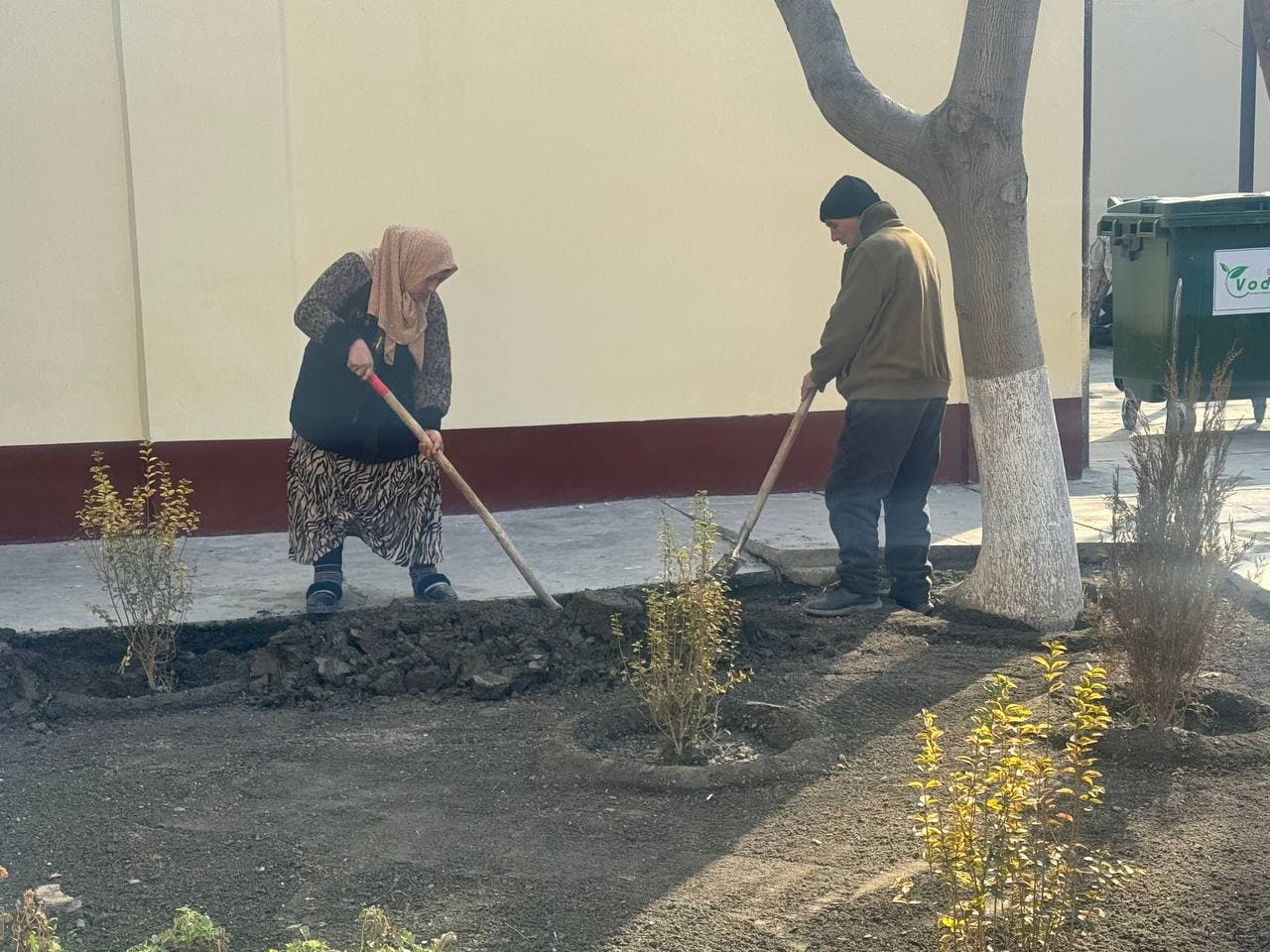 We started greening from ourselves!