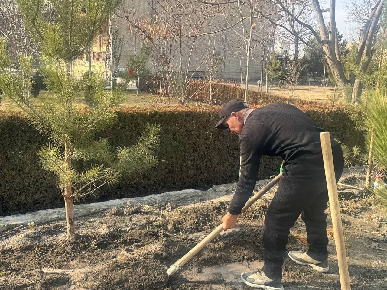 We started greening from ourselves!