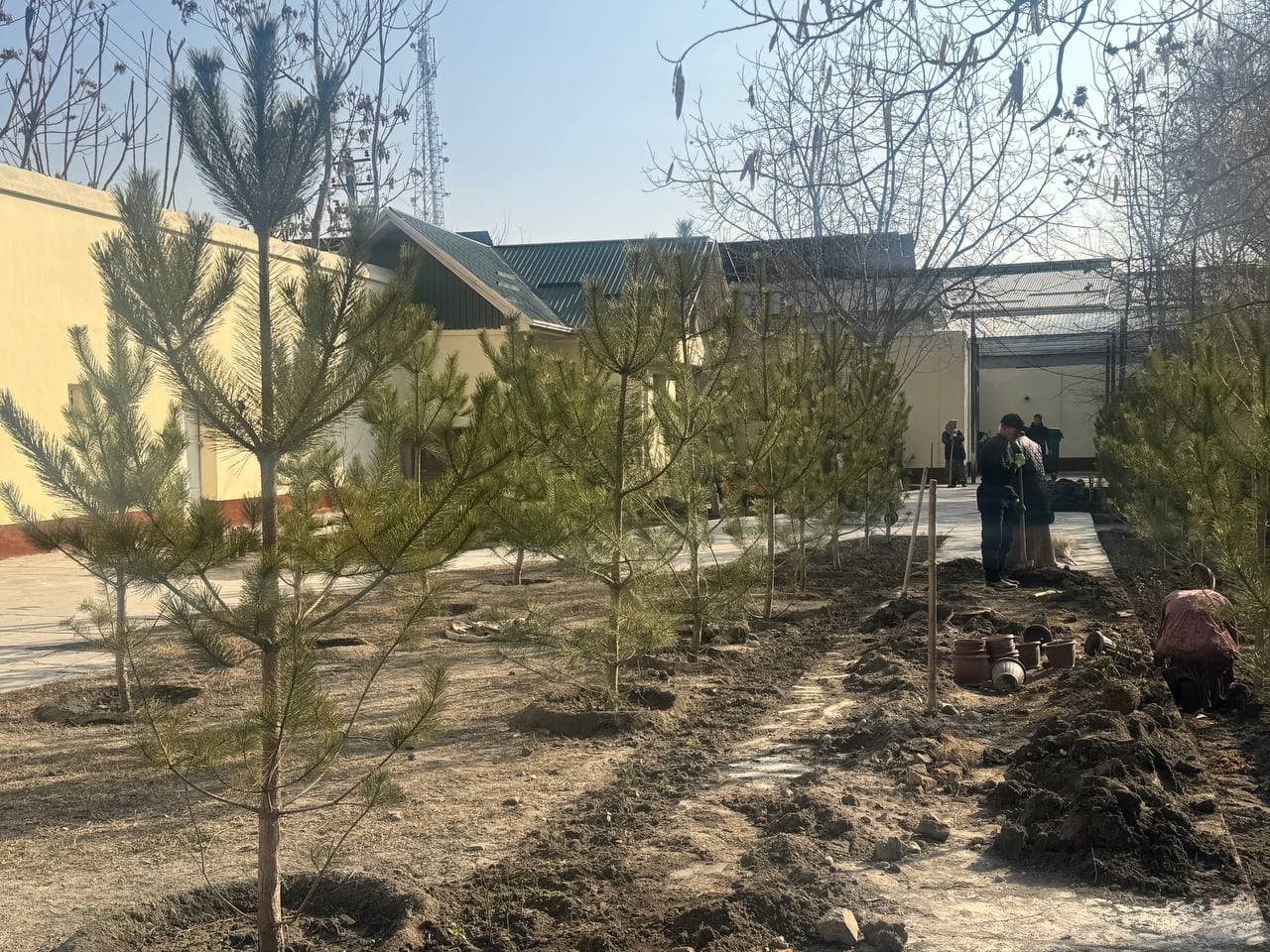 We started greening from ourselves!