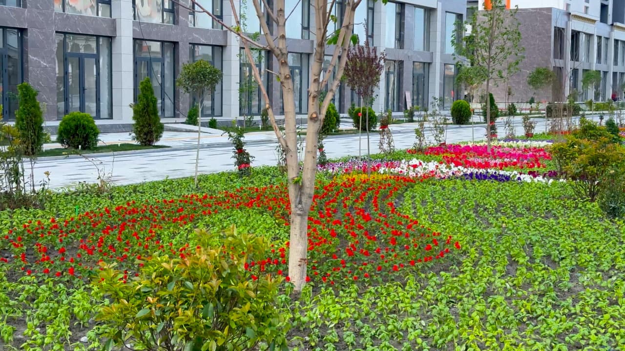 In Kokand’s “New Uzbekistan” residential area, landscaping and greening works are underway.