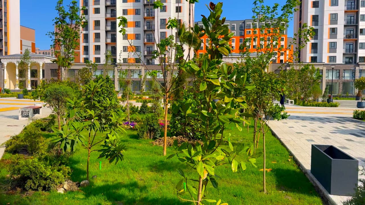 In Kokand’s “New Uzbekistan” residential area, landscaping and greening works are underway.