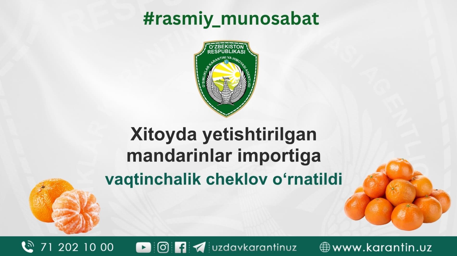 Temporary restrictions imposed on the import of Chinese mandarins