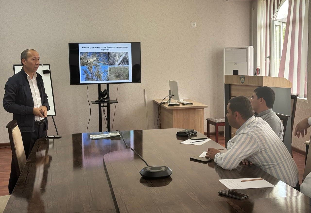 Обсужден план мер по сотрудничеству в борьбе с саранчой с туркменскими специалистами