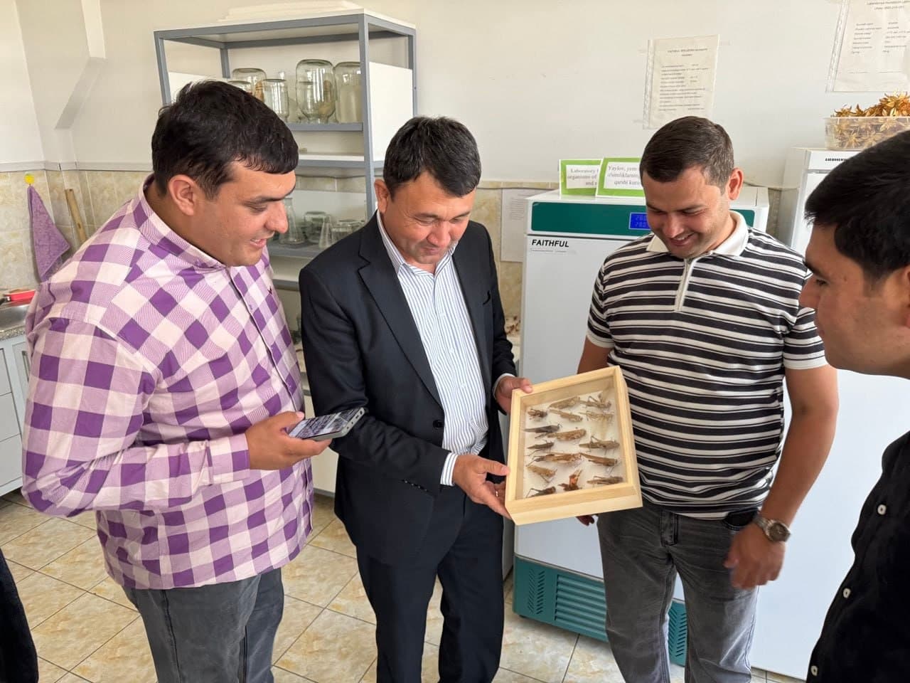 Обсужден план мер по сотрудничеству в борьбе с саранчой с туркменскими специалистами