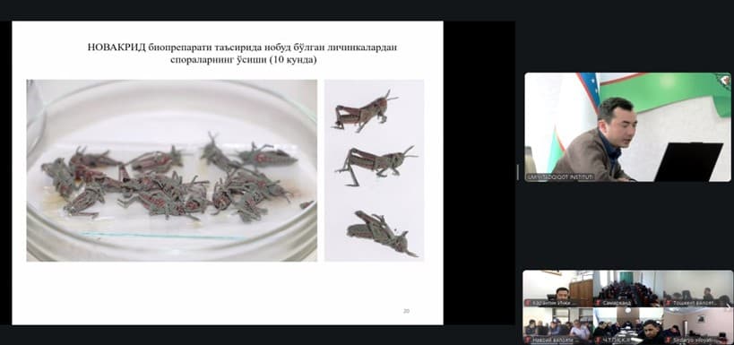 Korrupsiyaga qarshi kurashish hamdamanfaatlar to‘qnashuvini oldini olish bo‘yicha o‘quv mashg‘uloti o‘tkazildi