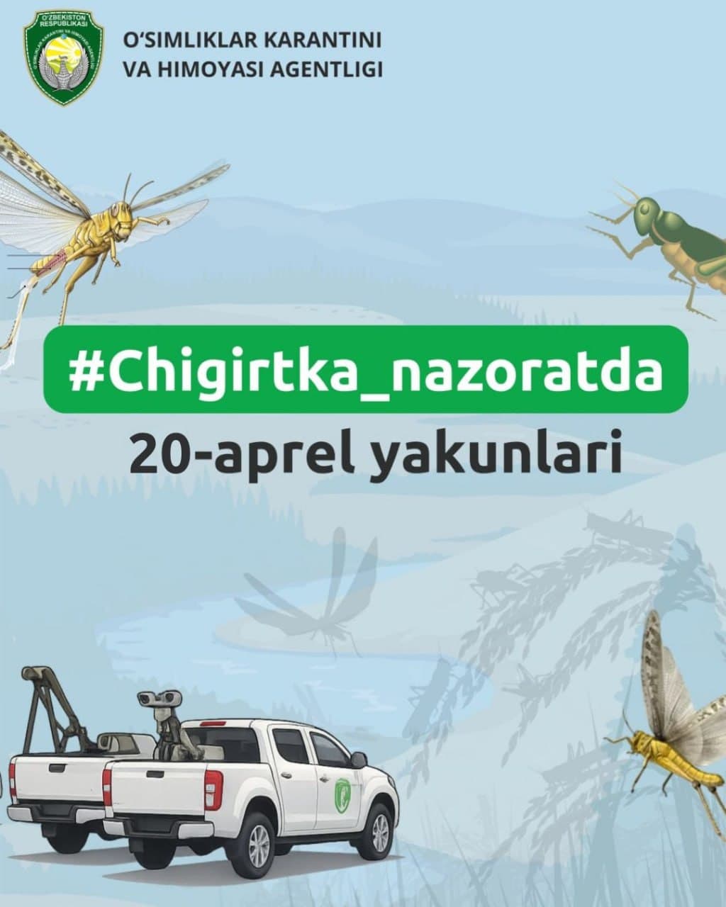 #chigirtka_nazoratda: Kimyoviy ishlov olib borilgan maydon 100 ming gektardan oshdi