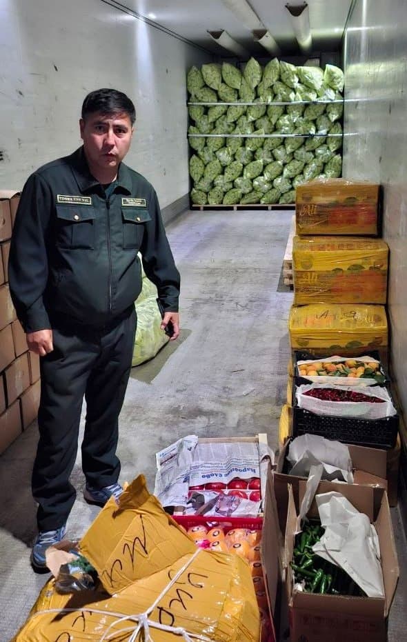 Toshkent tumanida qishloq xo‘jaligi mahsulotlari eksport hajmi barqaror ortib bormoqda