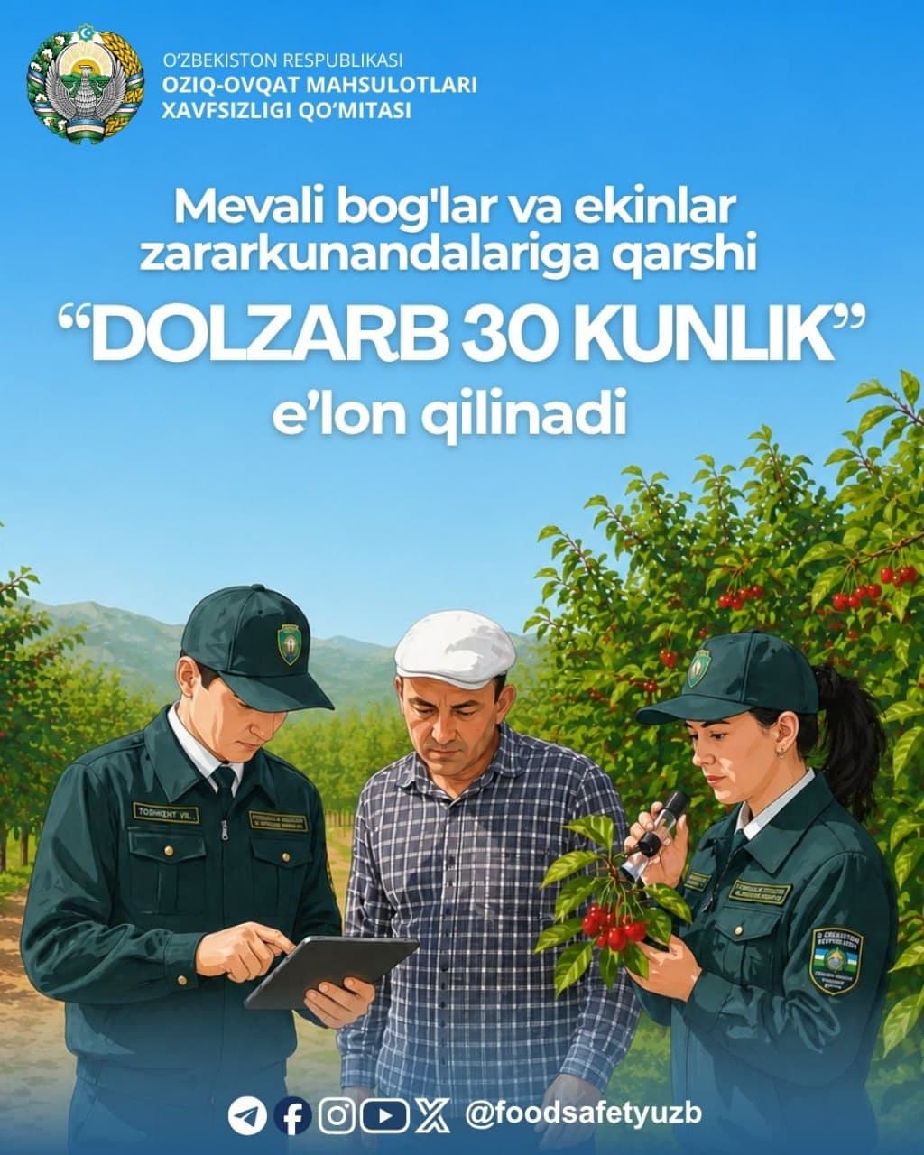 Hududlarda mevali bog'lar va ekinlar zararkunandalariga qarshi “Dolzarb o‘ttiz kunlik” tadbirlari boshlandi