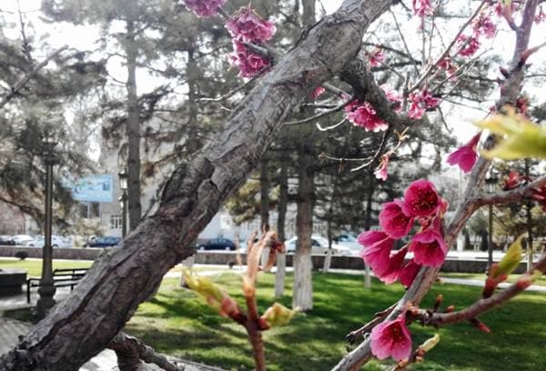 “Yurt obodligi, avvalo, mahalladan boshlanadi!”