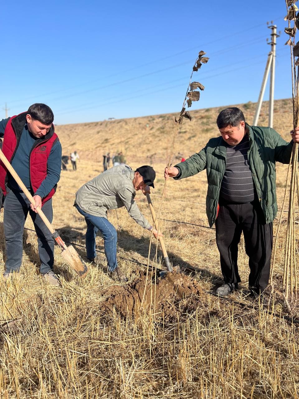 “O‘zaviatsiya” agentligi xodimlari ekologiyani asrash maqsadida “Yashil makon” tashabbusida faol ishtirok etmoqda