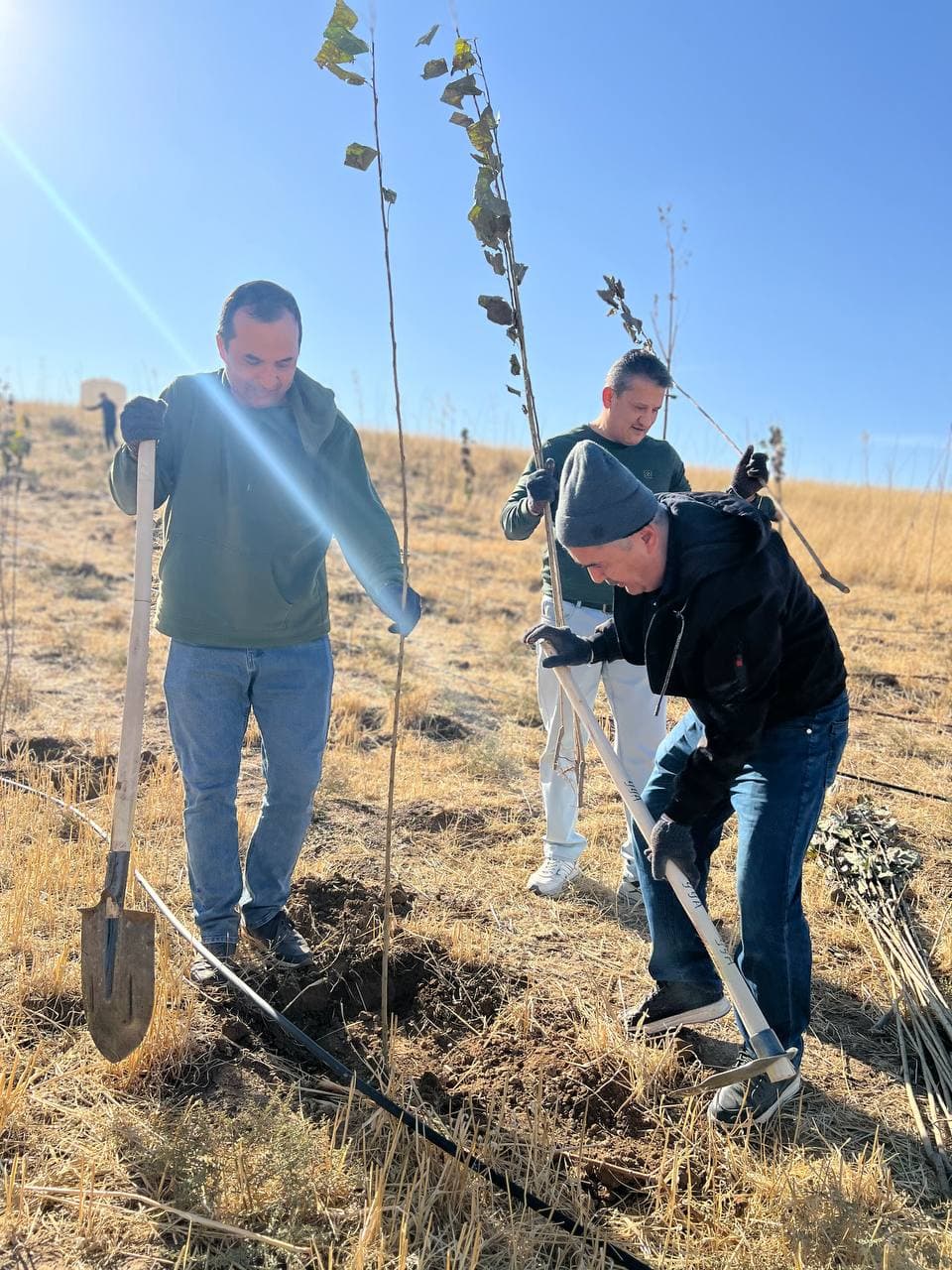 “O‘zaviatsiya” agentligi xodimlari ekologiyani asrash maqsadida “Yashil makon” tashabbusida faol ishtirok etmoqda