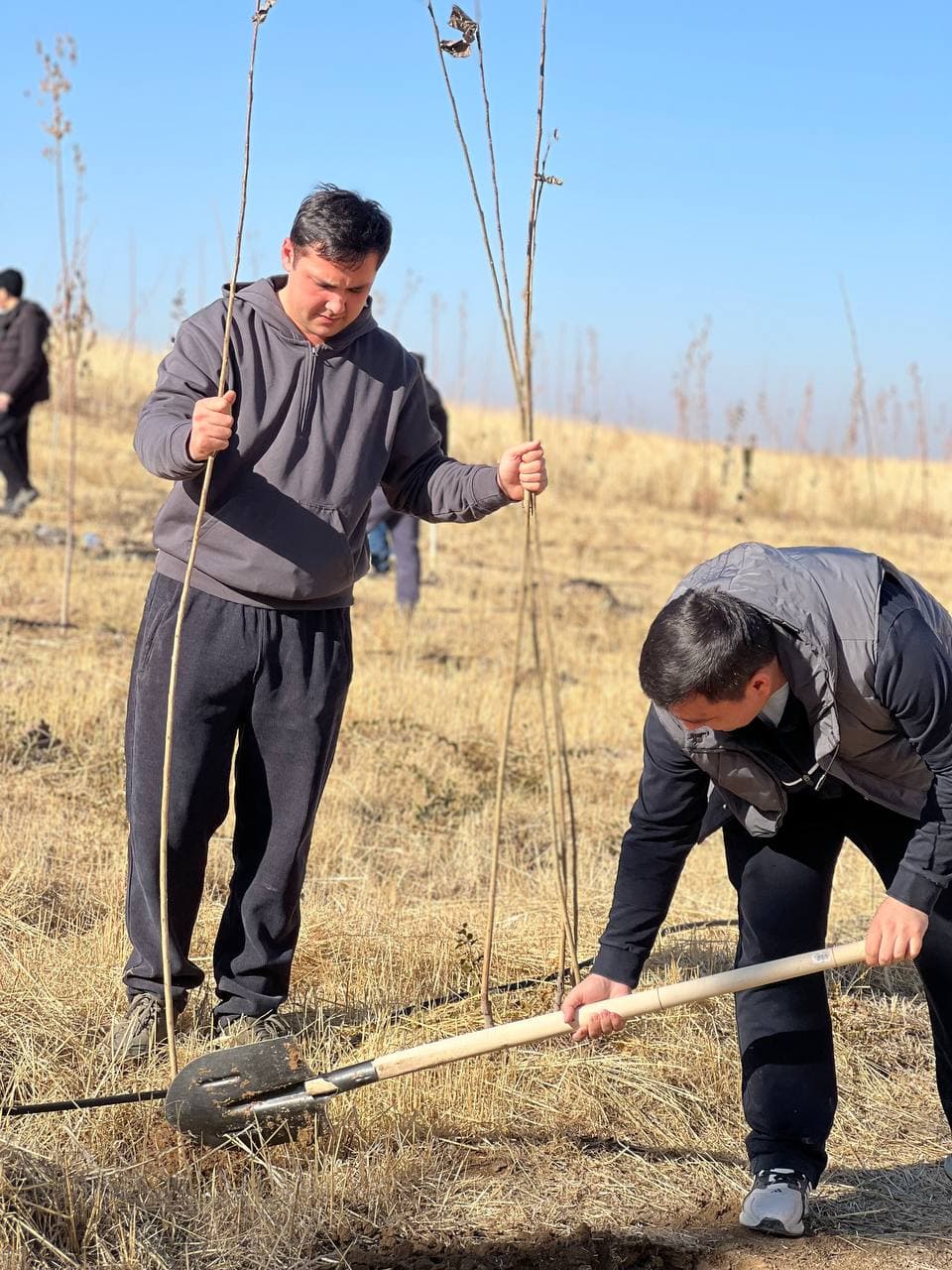 “O‘zaviatsiya” agentligi xodimlari ekologiyani asrash maqsadida “Yashil makon” tashabbusida faol ishtirok etmoqda