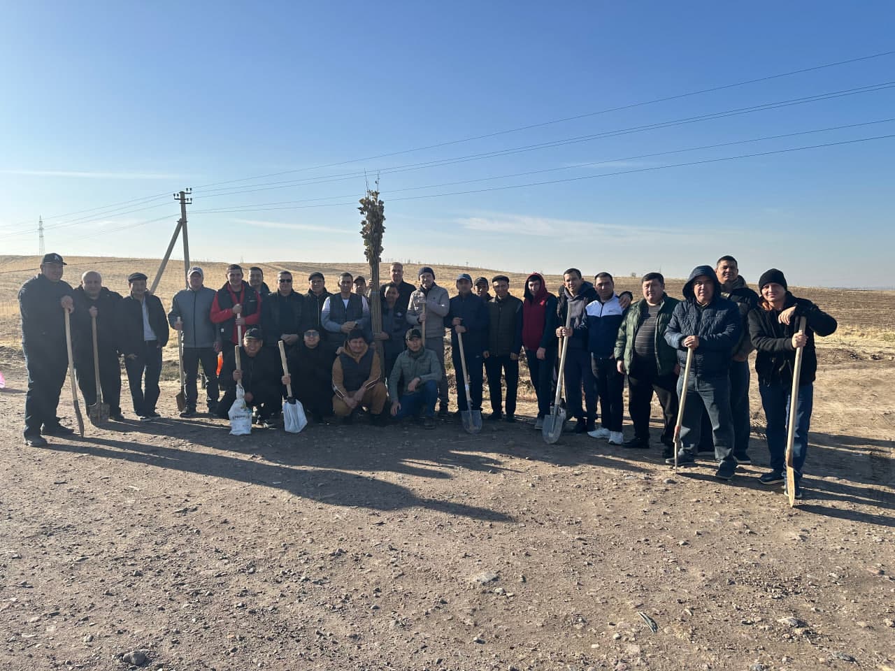 “O‘zaviatsiya” agentligi xodimlari ekologiyani asrash maqsadida “Yashil makon” tashabbusida faol ishtirok etmoqda