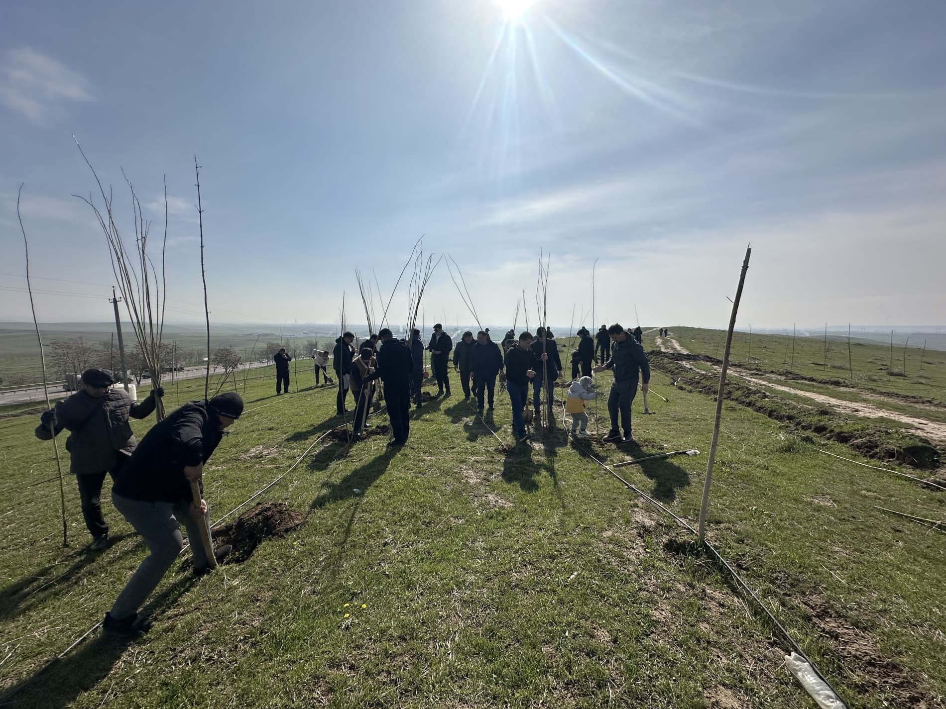 “O’zaviatsiya” agentligi xodimlari umumxalq hasharida faol ishtirok etdi