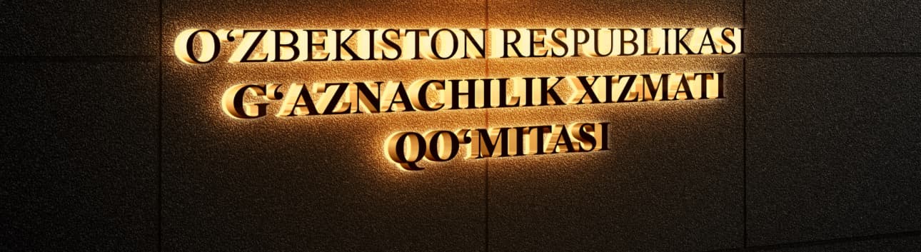 G'aznachilikning faoliyati to'g'risidagi nizomi