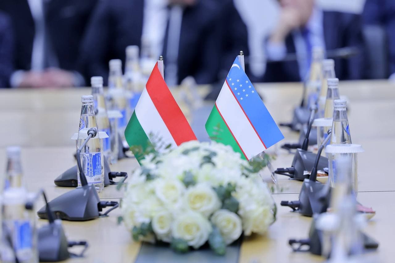 Vengriyaning “ZA-Invest Poultry” kompaniyasi Sirdaryo viloyatida yirik loyihani amalga oshirmoqda