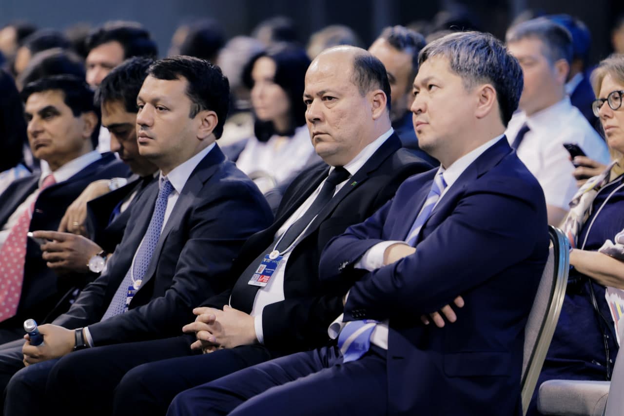 Energy Transition: Renewables, Nuclear and Hydrogen in Central Asia