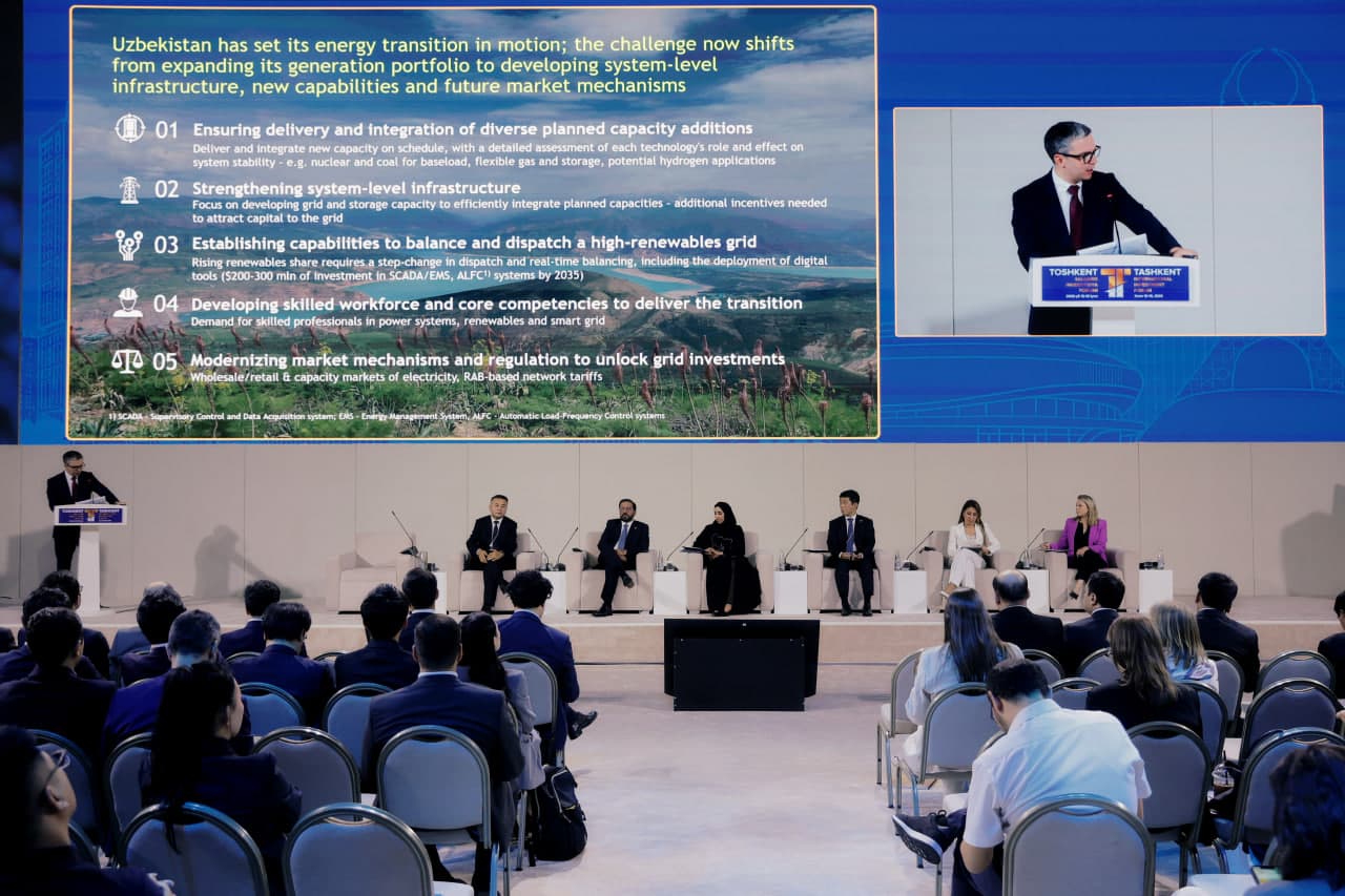 Energy Transition: Renewables, Nuclear and Hydrogen in Central Asia
