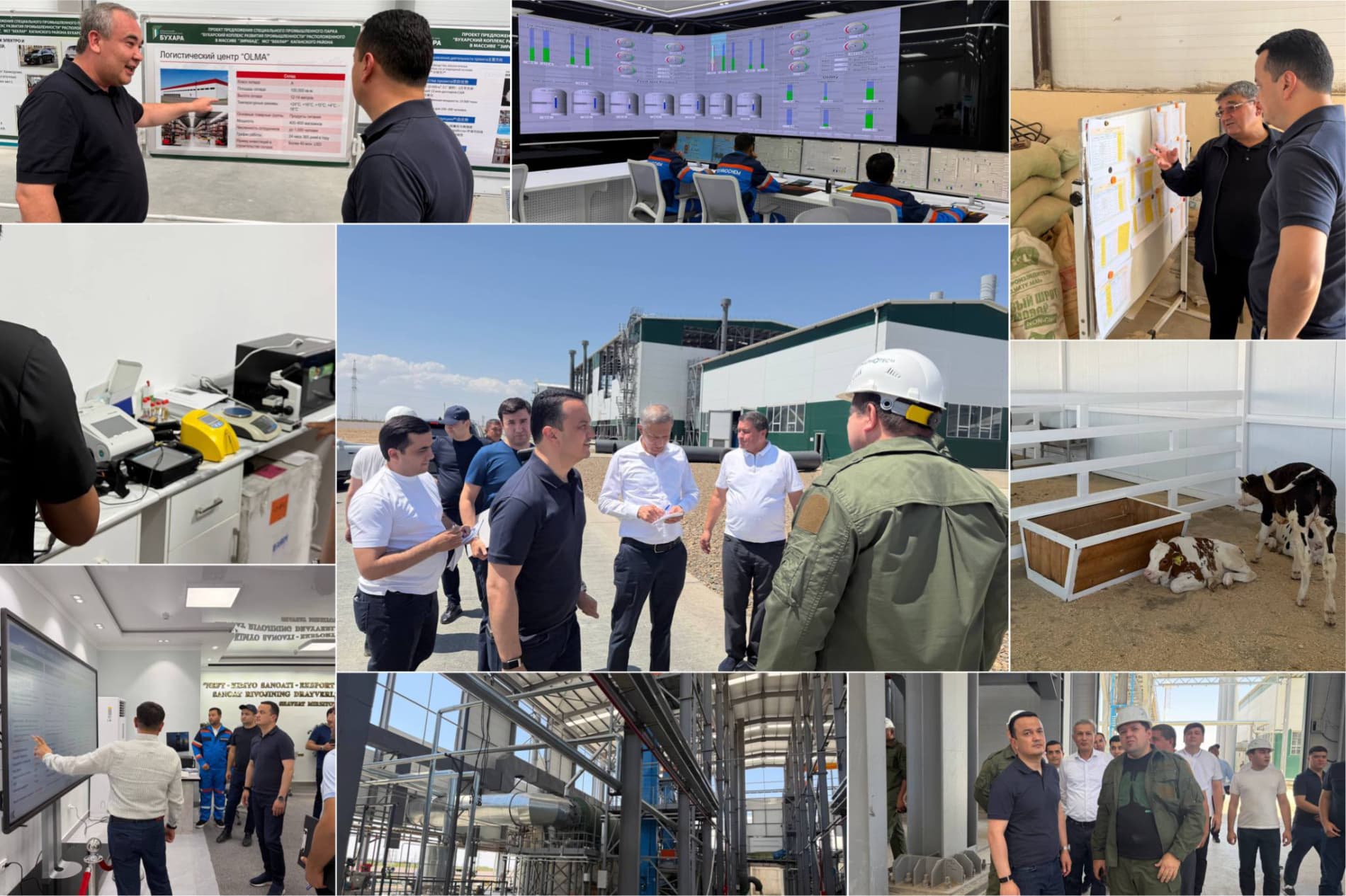 Advancing Investment Projects and Export Potential in Bukhara Region