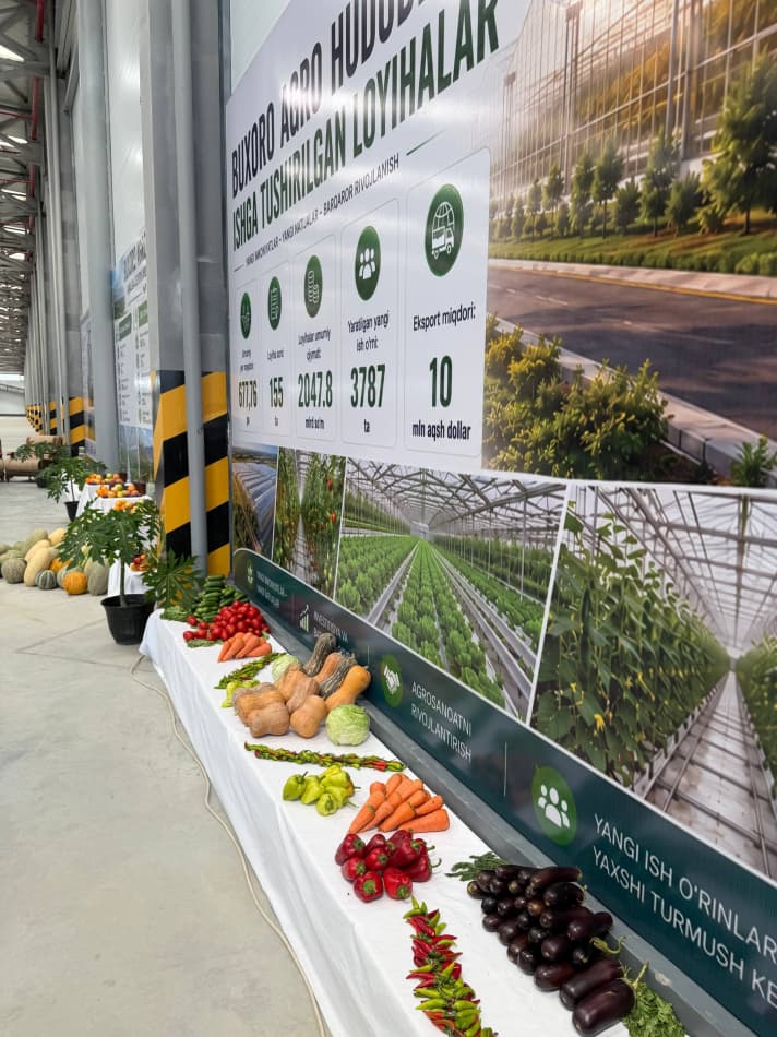 Advancing Investment Projects and Export Potential in Bukhara Region