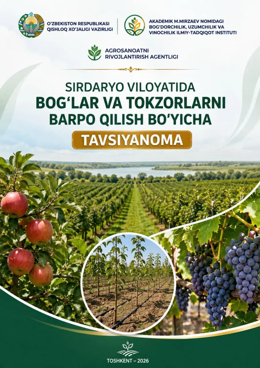 Sirdaryo viloyatida bog‘lar va tokzorlarni barpo qilish bo‘yicha TAVSIYANOMA