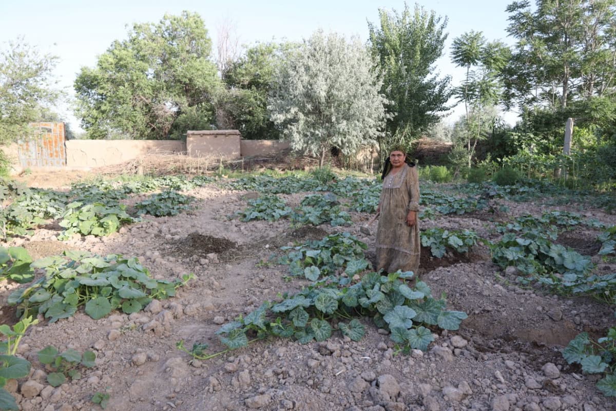 Tomorqa – daromad manbai va farovon hayot garovi!