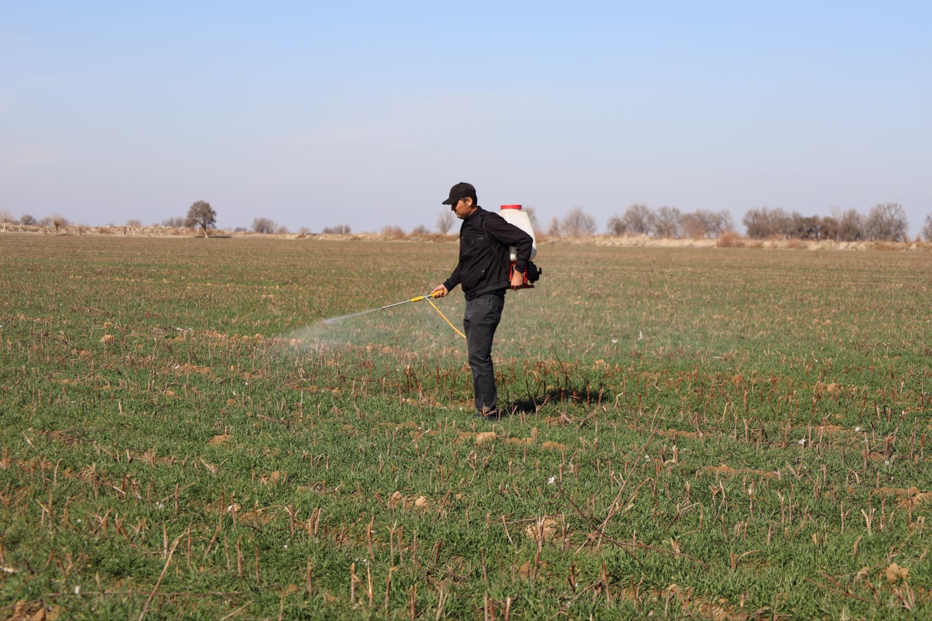 Muborak tumanida qishloq xo‘jaligi sohasida yer unumdorligini oshirish va joriy yilgi hosildorlikni ta’minlash maqsadida seminar bo‘lib o‘tdi