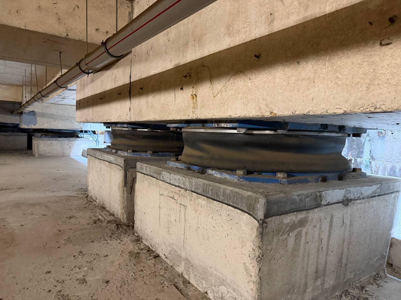 INSPEKSIYA XODIMLARI XALQARO MALAKA OSHIRISH DASTURIDA