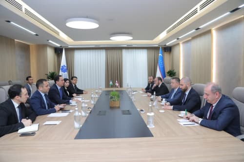 Discussion with Georgian Deputy Minister of Economy and Sustainable Development on expansion of cooperation in Startups and IT