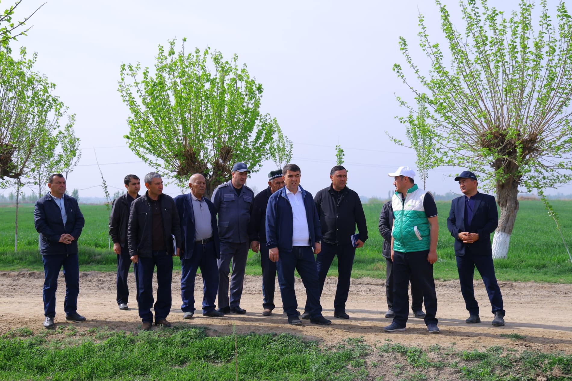 Баҳорги юмушлар — чигит экиш ва ғаллага сув беришни тезлатиш керак!