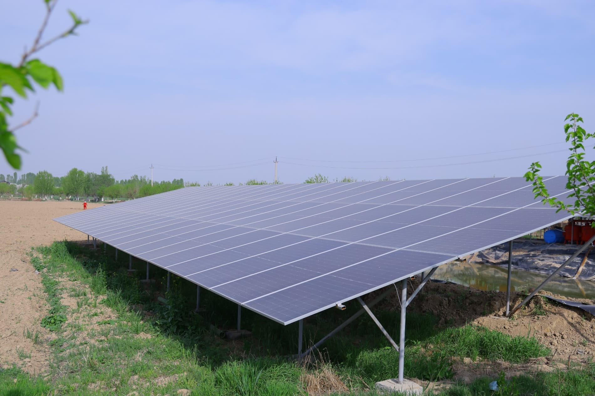 Баҳорги юмушлар — чигит экиш ва ғаллага сув беришни тезлатиш керак!