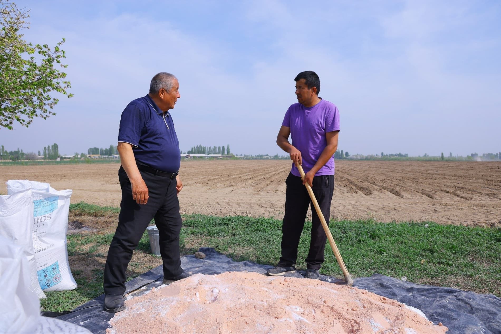 Баҳорги юмушлар — чигит экиш ва ғаллага сув беришни тезлатиш керак!