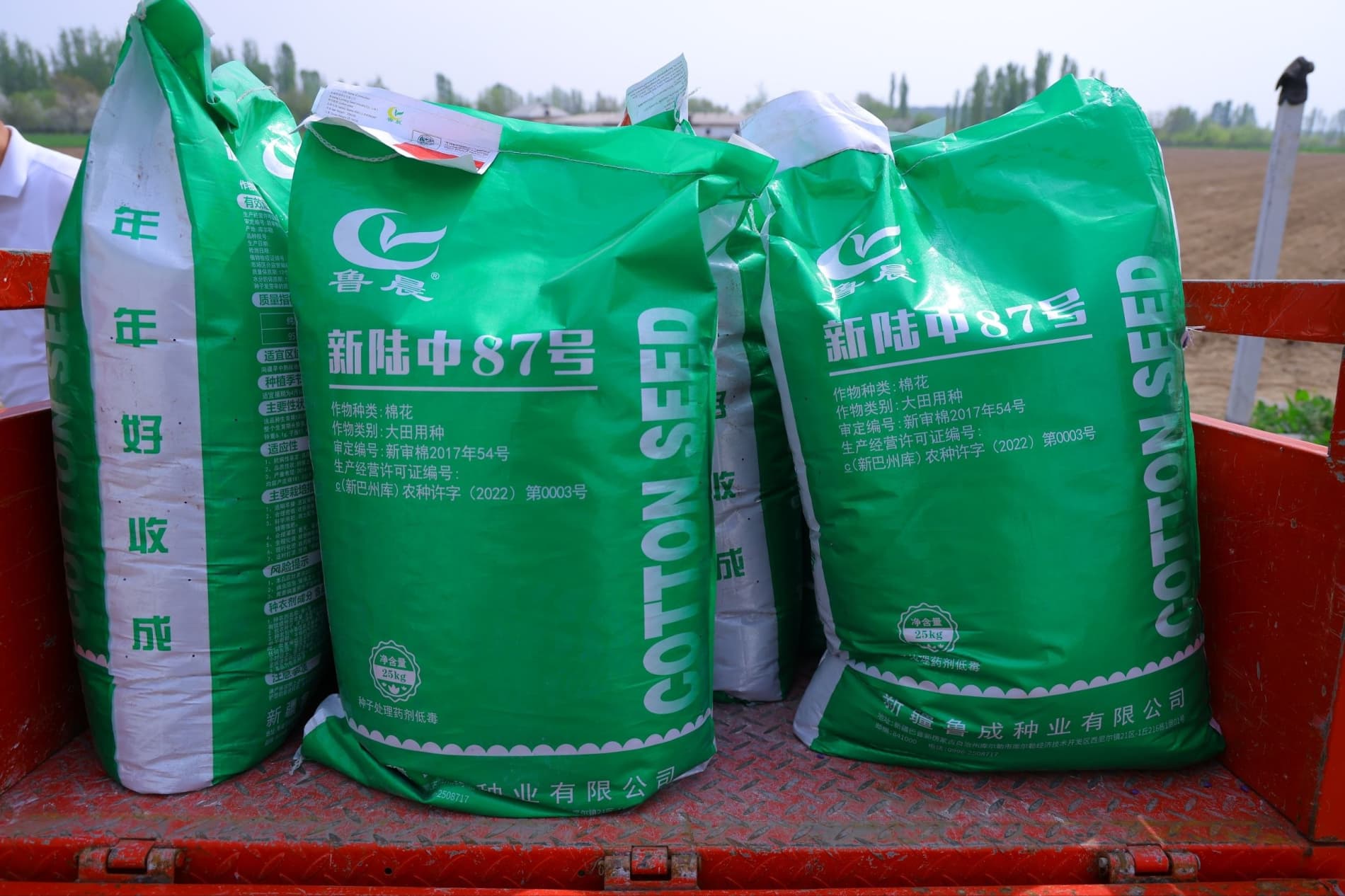 Чустда чигит униб чиқди: эрта эккан эрта хирмон уяди.