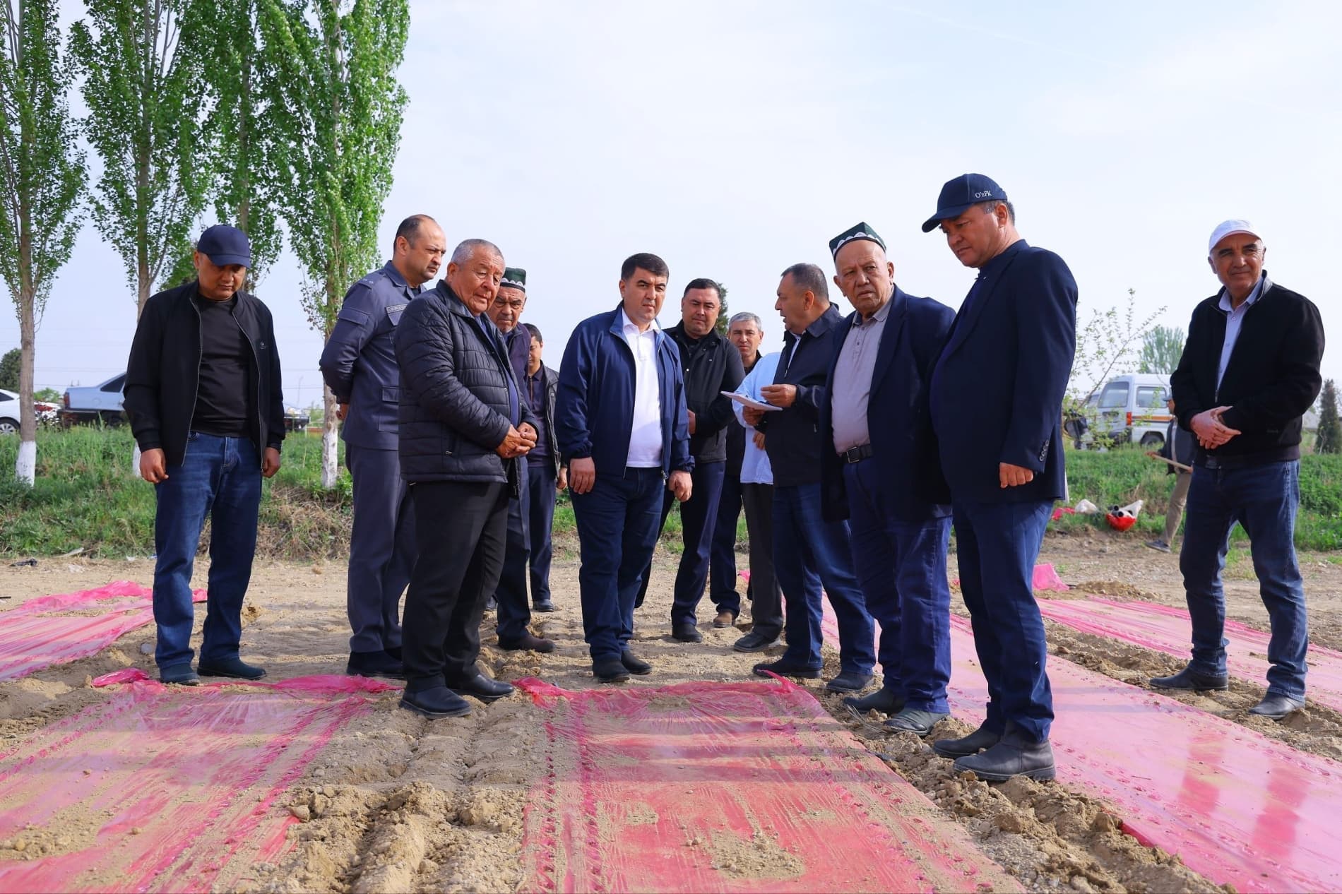 Баҳорги юмушлар — чигит экиш ва ғаллага сув беришни тезлатиш керак!