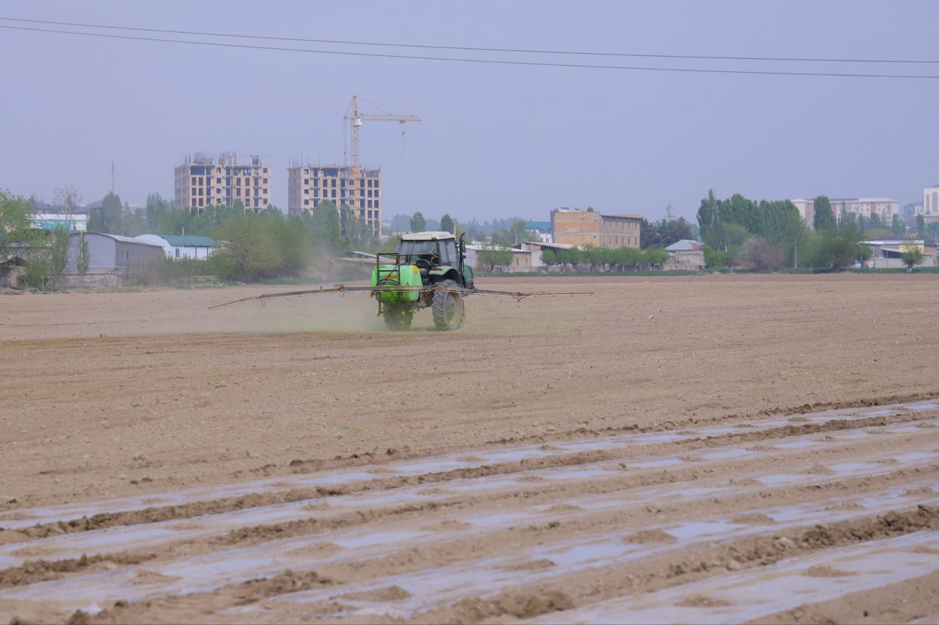 Баҳорги юмушлар — чигит экиш ва ғаллага сув беришни тезлатиш керак!