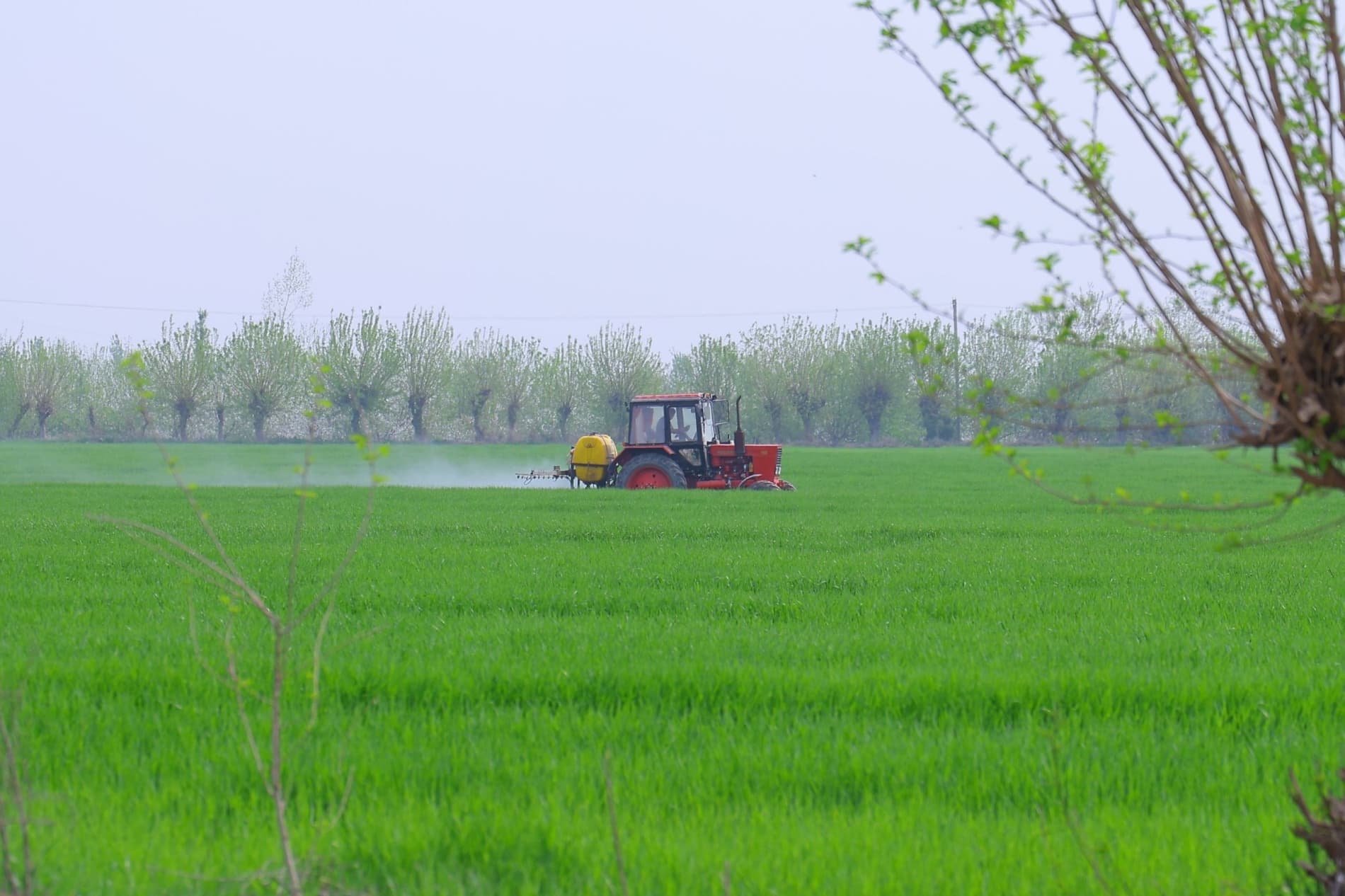 Чустда чигит униб чиқди: эрта эккан эрта хирмон уяди.