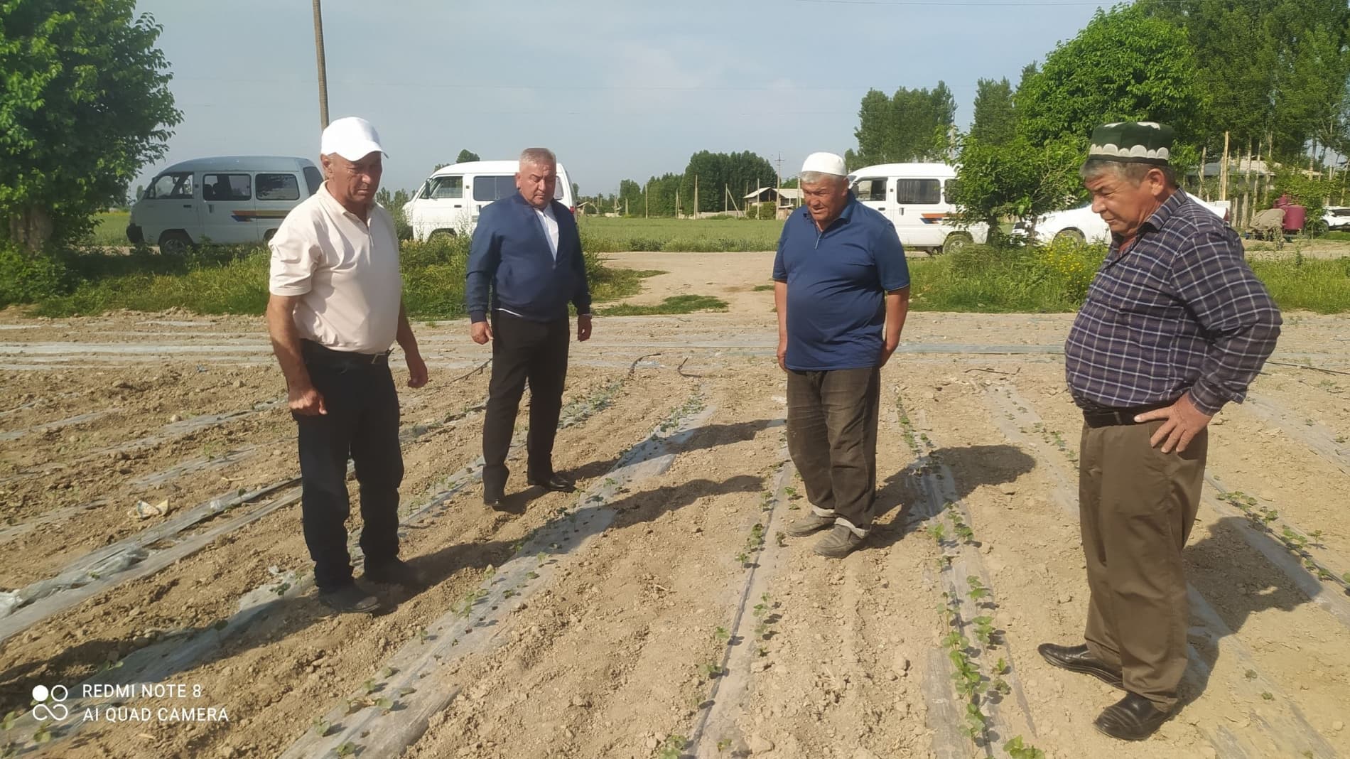 Наманган туманида ғўзага биринчи комплекс ишлов бериш ишлари давом этмоқда.