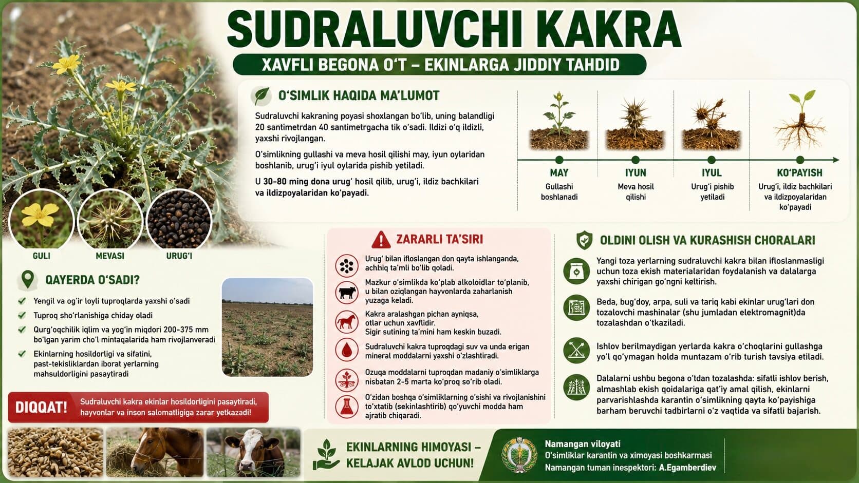 🌿Судралувчи какрага қарши кураш — ҳосилдорликни сақлашнинг муҳим омили