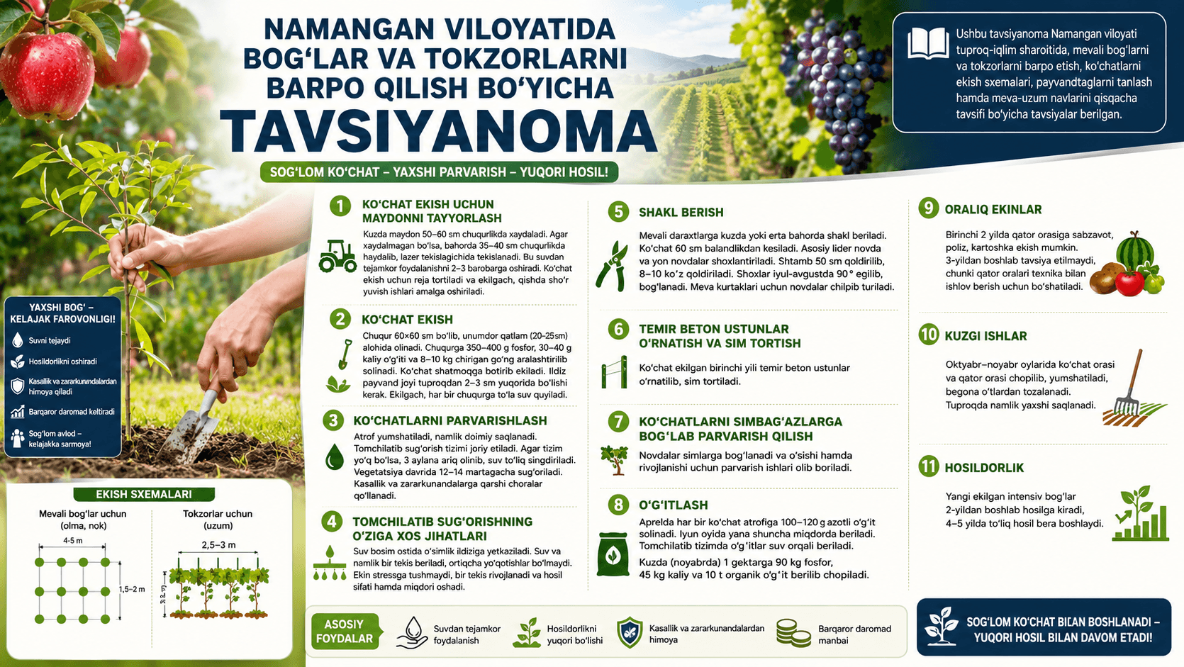 Namangan viloyatida bog‘lar va tokzorlarni barpo qilish bo‘yicha TAVSIYАNOMA