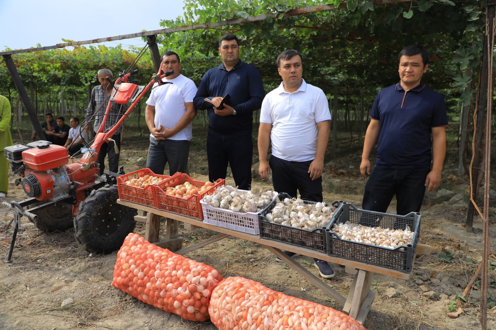 Amaliy seminar: to‘qsonbosti ekinlari — qo‘shimcha daromad manbai