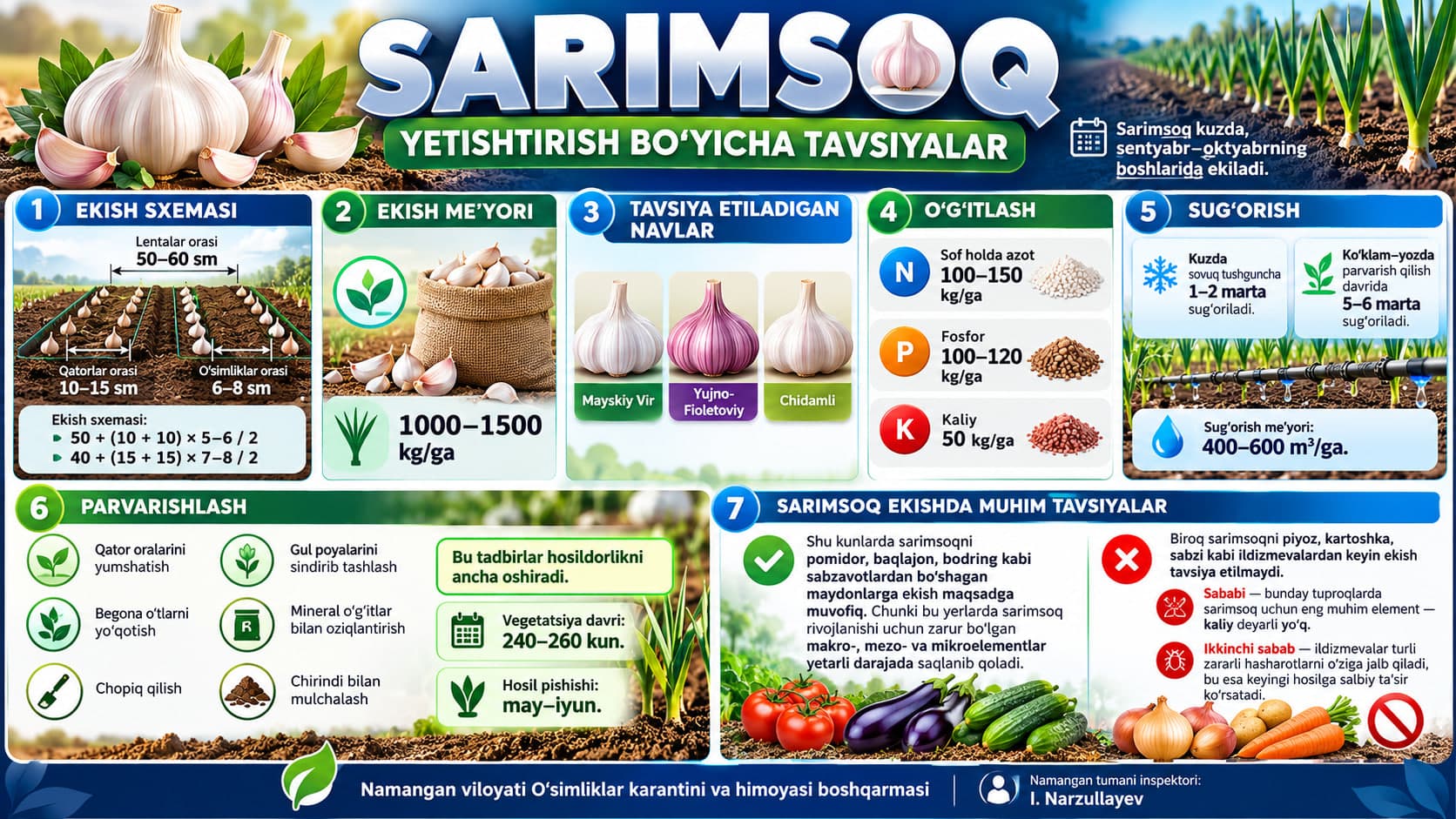 SARIMSOQ YETISHTIRISH BO‘YICHA TAVSIYALAR
